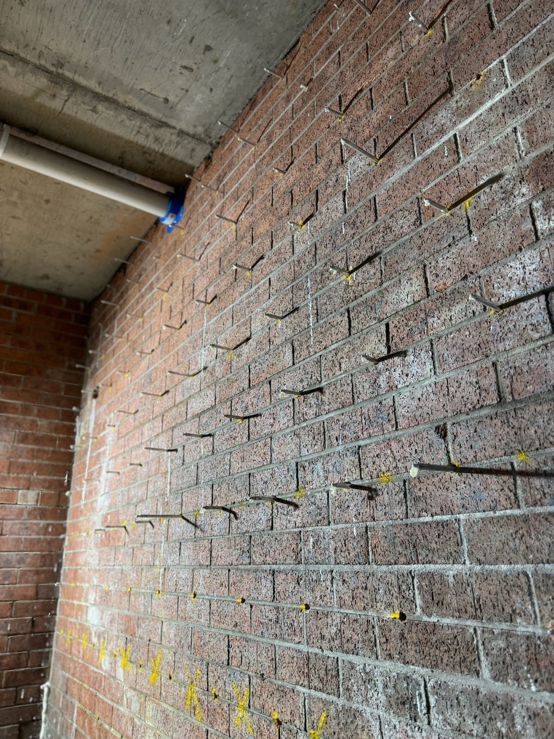 Wall Injection Bug Control Curtain Wall Injection Sydney | TRD Remedial