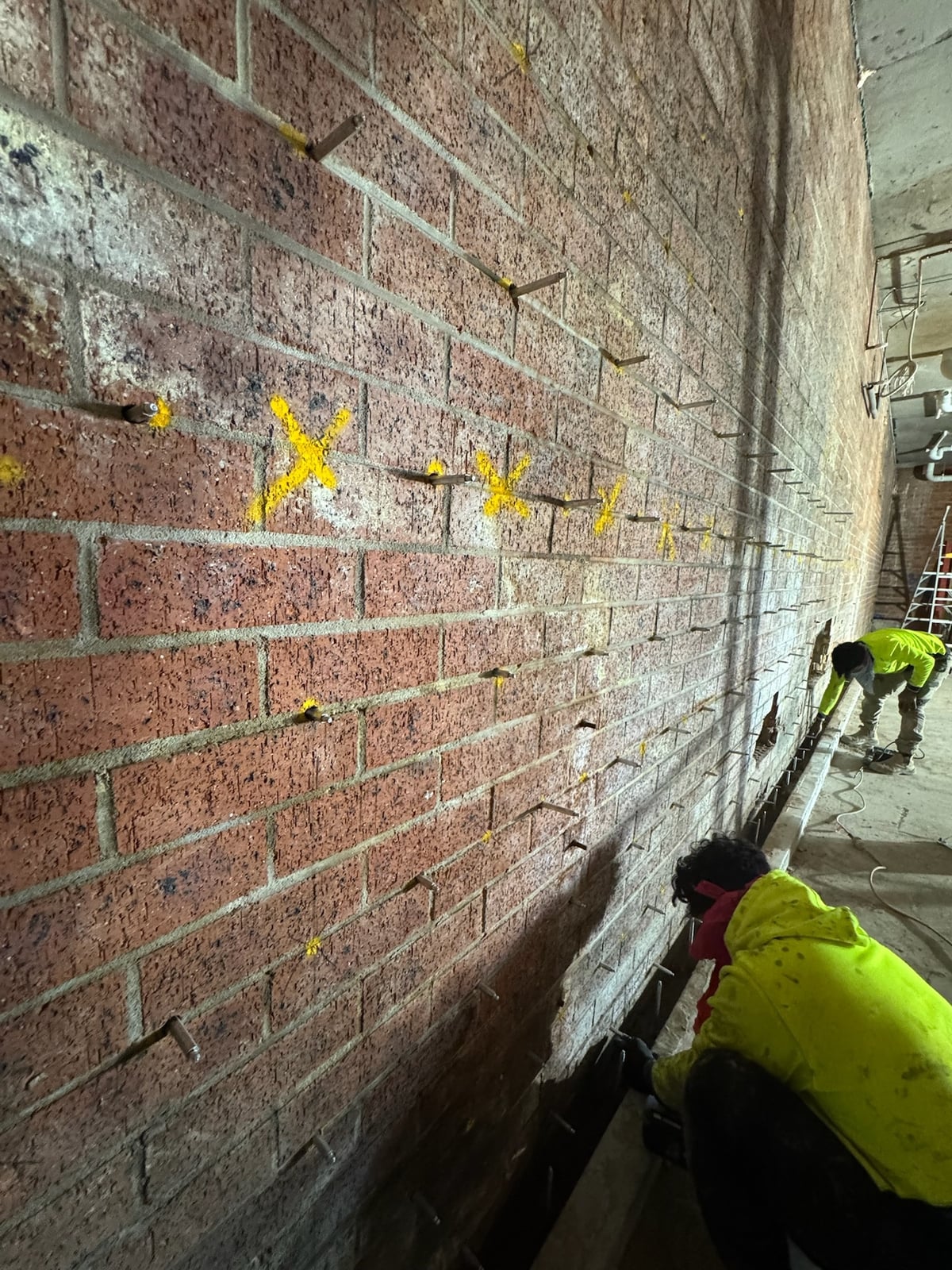 Wall Injection Bug Control Curtain Wall Injection Sydney | TRD Remedial